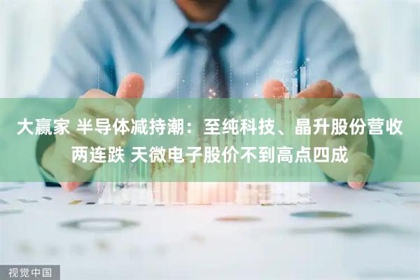 大赢家 半导体减持潮：至纯科技、晶升股份营收两连跌 天微电子股价不到高点四成