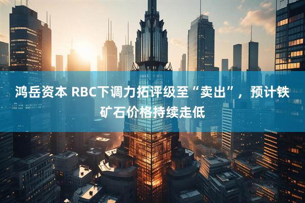 鸿岳资本 RBC下调力拓评级至“卖出”，预计铁矿石价格持续走低