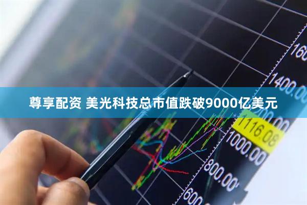 尊享配资 美光科技总市值跌破9000亿美元