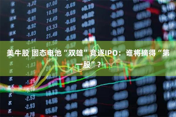 美牛股 固态电池“双雄”竞逐IPO:谁将摘得“第一股”?